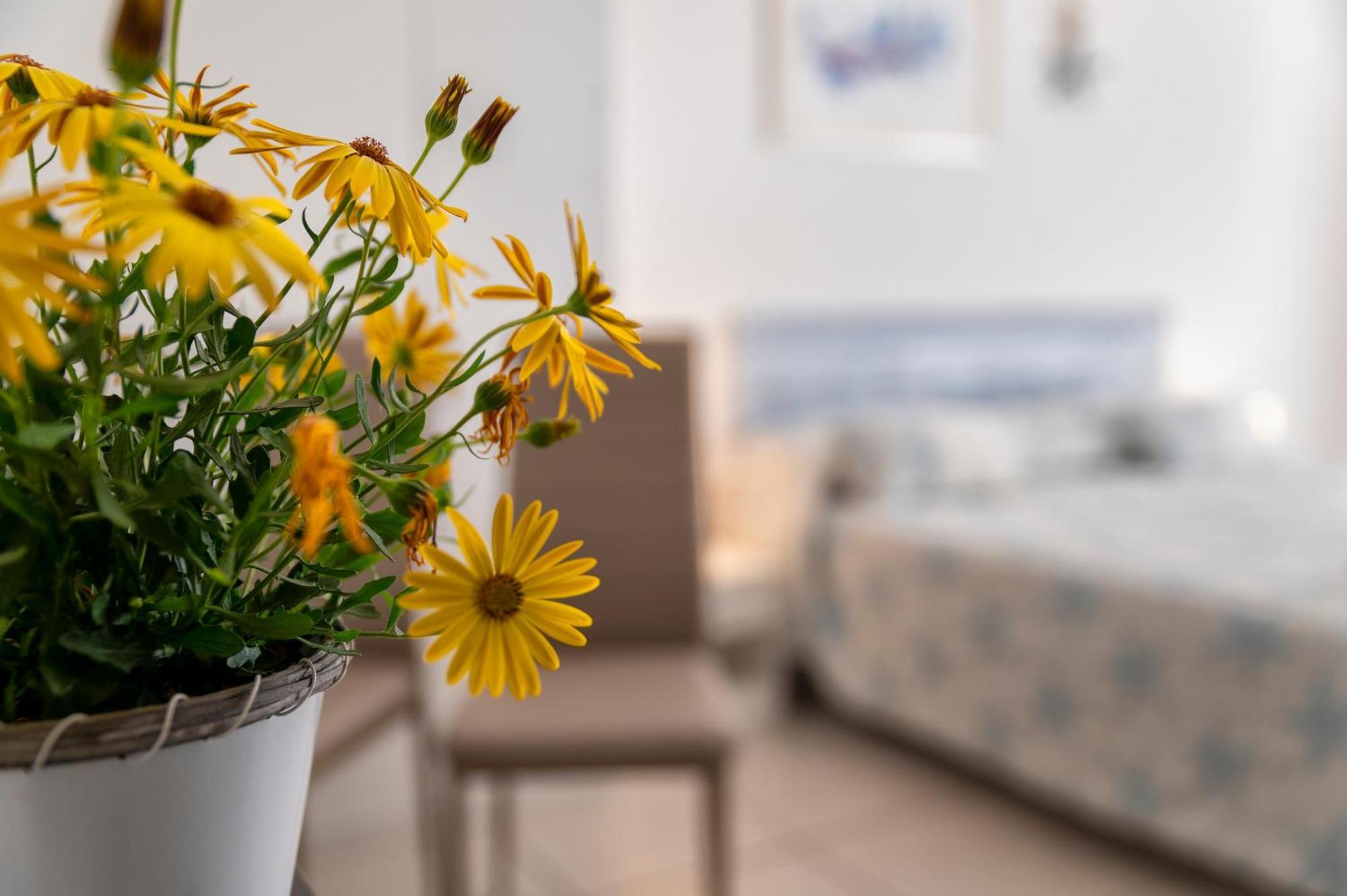 Bed and Breakfast Horizon Alghero Exteriér fotografie